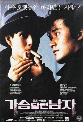 甄子丹精武风云陈真